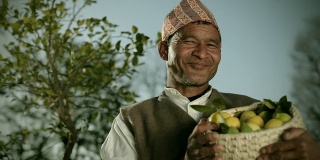 尼泊尔人民:快乐的农民拿着新鲜的柠檬篮子。