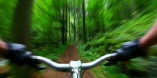 高清山地自行车穿越绿色森林(模糊)