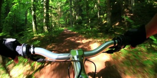 高清山地自行车穿越春天的森林