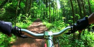 POV山地自行车穿越春天的森林
