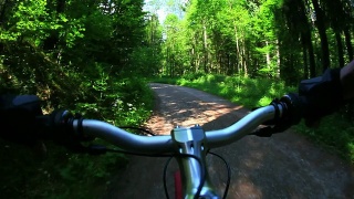 POV山地自行车穿越春天的森林视频素材模板下载