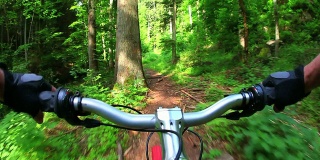 POV山地自行车穿越春天的森林