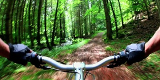 POV山地自行车通过绿色森林真实摄像头拍摄