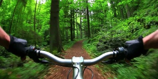 POV山地自行车穿过绿色森林