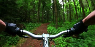 高清山地自行车穿过绿色森林