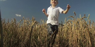 小男孩在麦田里奔跑