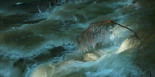 HD Winter River with Icy Branch (Loopable) (4:2:2@100 Mb/s)
