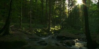 森林中的岩溪