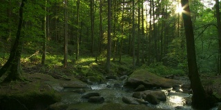 森林中的岩石溪流时光流逝