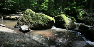 HD起重机:森林中的岩石溪
