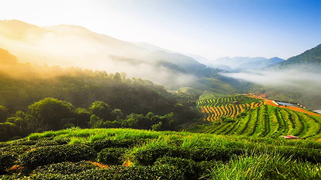 美丽的阳光在朦胧的早晨泰国北部山区