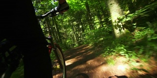 T/L POV山地自行车穿过绿色森林