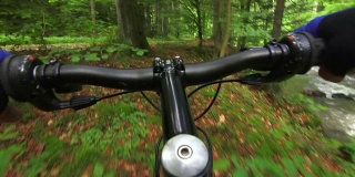 山地自行车穿过绿色森林TL POV