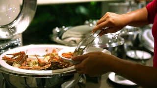 客人在餐厅从盘子里舀食物视频素材模板下载