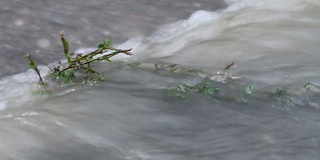 被水淹没的工厂在沥青上