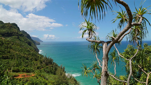 卡拉劳小径景观，纳帕利海岸州立公园，考艾岛，夏威夷