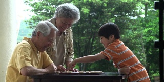中国象棋爷爷奶奶和孙子