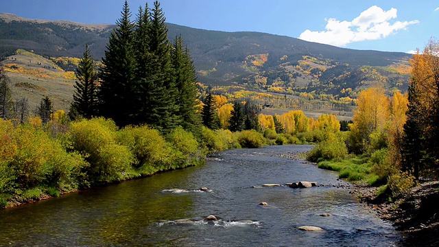 秋天的颜色沿着蓝色的河在Summit县，科罗拉多州