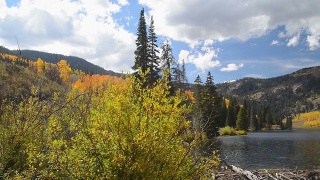 秋天的树叶在一个山湖在科罗拉多州视频素材模板下载