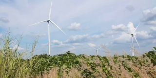 HD:绿色草地，风力发电机发电
