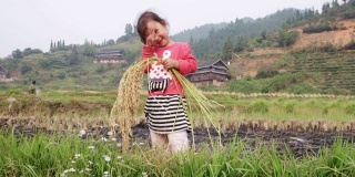 一个中国女孩在收获的时候挥舞着手玩稻子