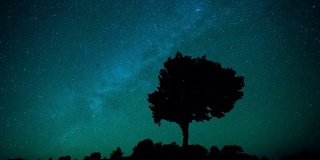 星空和孤独的树，时光流逝。
