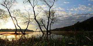 摄影:日出时分的湖景