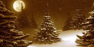 温暖的金色冬季景观装饰圣诞树。