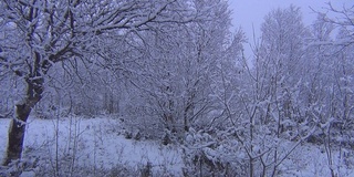 下雪的场景