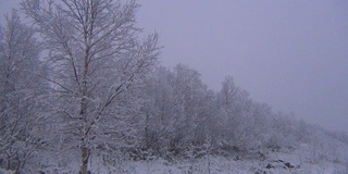 下雪的场景