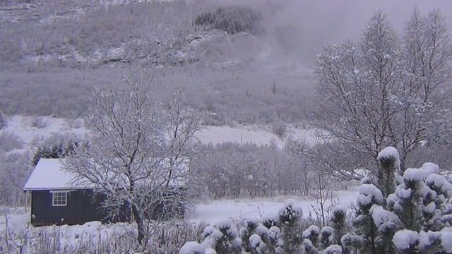 下雪的场景