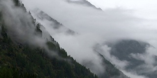 雾升山森林TL