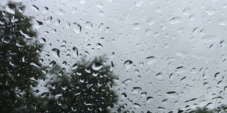 雨- - -股票视频