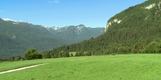 HD:美丽的绿色山谷