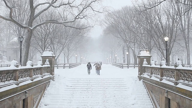 纽约中央公园冬天的雪