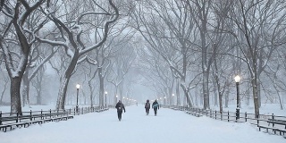 纽约中央公园冬季降雪
