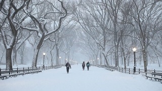 纽约中央公园冬季降雪视频素材模板下载
