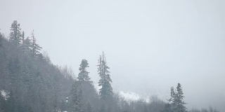 高清:冬季景观