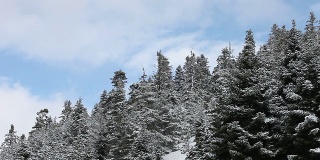 高清:冬季景观