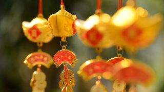 中国新年装饰视频素材模板下载