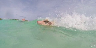 在Major Cay游泳的猪