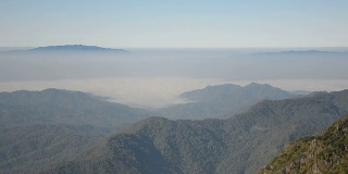 从高处看热带森林和薄雾