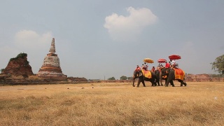泰国大城府，旅游团骑着大象和佛塔视频素材模板下载