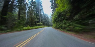 红杉森林驾驶时间流逝