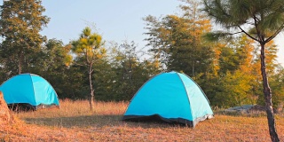 多莉:在草坪上搭帐篷。