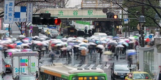 涉谷人行横道，下着雨