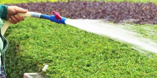亚洲园丁在公园草坪浇水