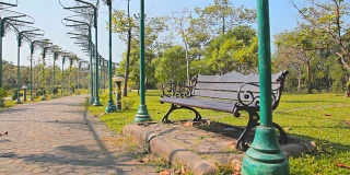 多莉:公园的草坪和人行道上的长椅。
