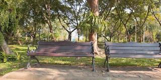 多莉:公园里的人行道上有两条长凳。