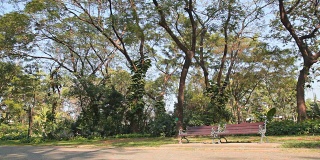 多莉:公园里的人行道上有两条长凳。